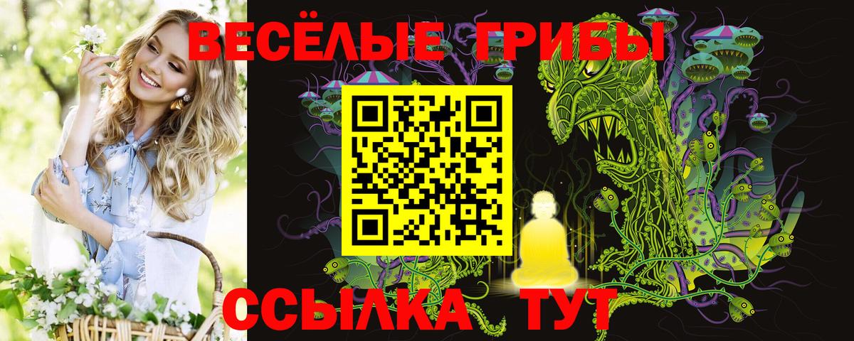 Псилоцибиновые грибы Psilocybe  Псилоцибиновые грибы Psilocybe  Вход с VPN  Азнакаево 